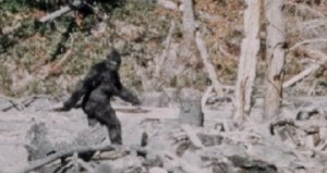 Sasquatch-e1379632222498