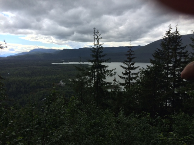 So much of Alaska reminded me of a Bob Ross painting. Look at all the happy trees! 