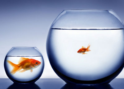 Comparison Shopping in Relationships – Lessons From the End of a Marriage
