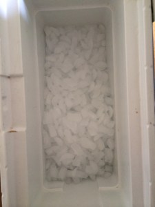 The only camping trip where we gained ice!