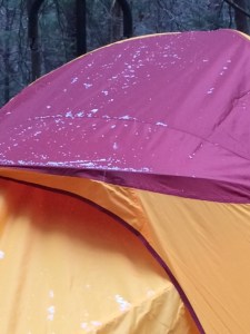 It's a wonder the roof didn't collapse:)