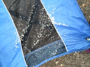 I thought about trying to build a snowman. 