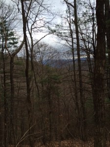 How can you not be happy in this?