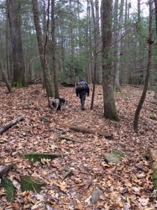 This is what it's all about:)