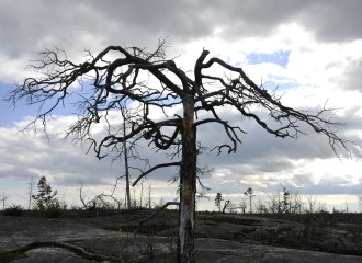 sudden divorce bigamy