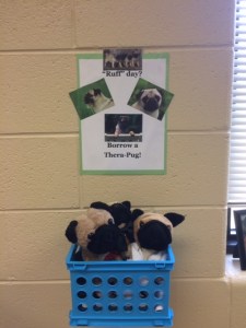 The "therapy dogs" in my classroom:)