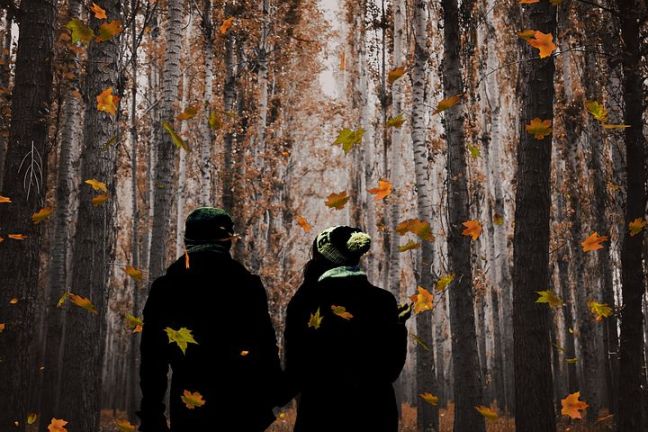 relationships dating divorce